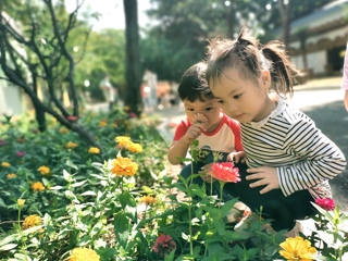 幼儿园真美，我喜欢上幼儿园。
