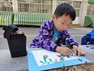 枸杞叶子长的好茂盛啊，我还要画出更多的叶子来。