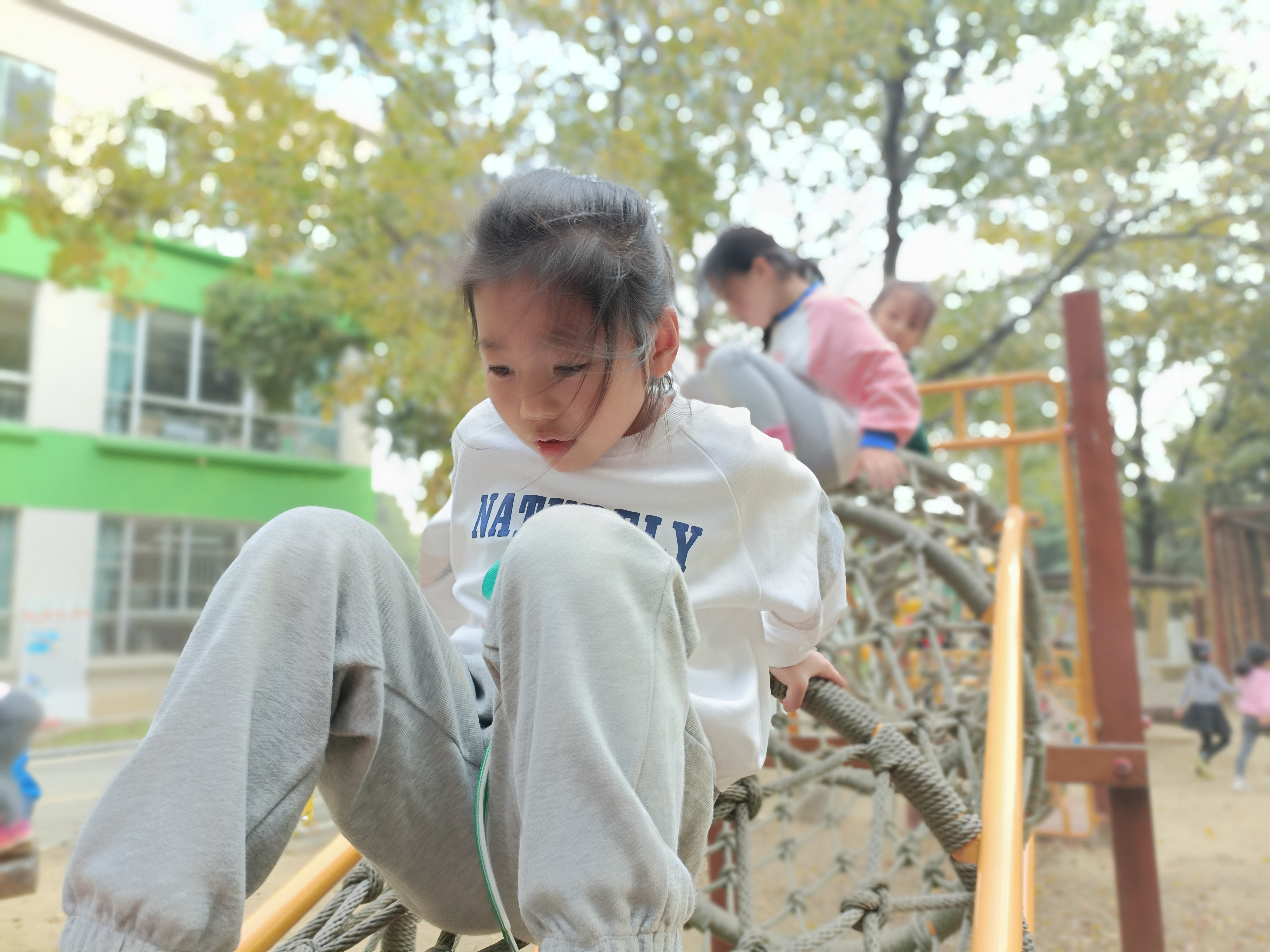 a5a788d62e5041299c773e3ee15fe68d.jpg