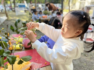 秋天里 做桂花