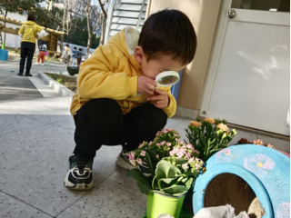 小二班幼儿第四周活动掠影
