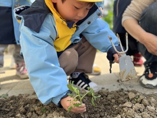 播种节开幕啦！