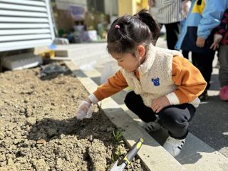 我给种子来施肥