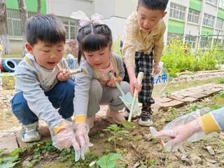 嗨，油菜花！