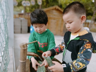 幸福农场：喂小鸭子