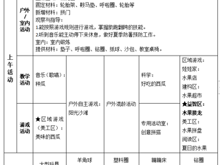 小二班第十九周工作计划