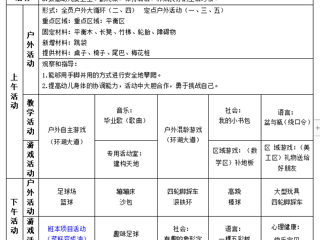 大二班第十九周周计划