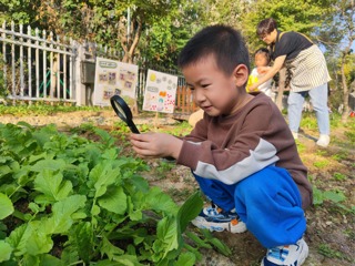 我来照顾植物啦