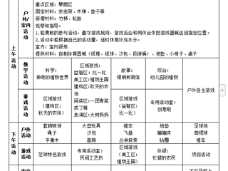 大五班第十周工作计划（11.6-11.10）