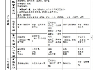  大一班第二周周计划（2024.2.26-3.1）