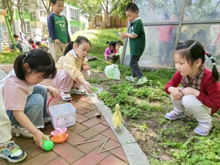 小鸭来做客