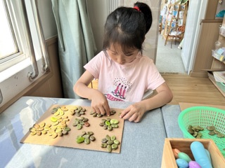 百变蚕豆