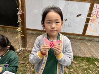 五彩鸟