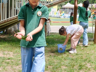 儿童节游戏：树叶水渠