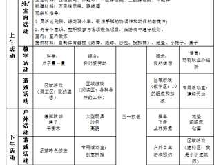 大四班第十一周工作计划（2024.4.28-4.30、5.11）