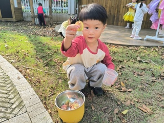 捡到栾树种子