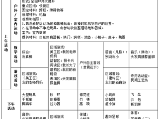 中一班第二周工作计划（2024.9.9-9.13）