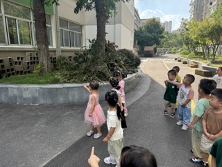 认识台风