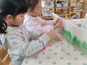 蝴蝶找朋友