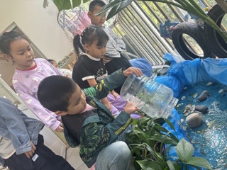 来了一群小鱼儿