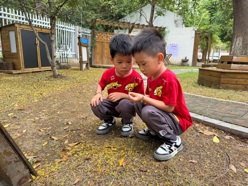 14e82bb967e84b018cc3c13ca042b202.jpg 14e82bb967e84b018cc3c13ca042b202.jpg