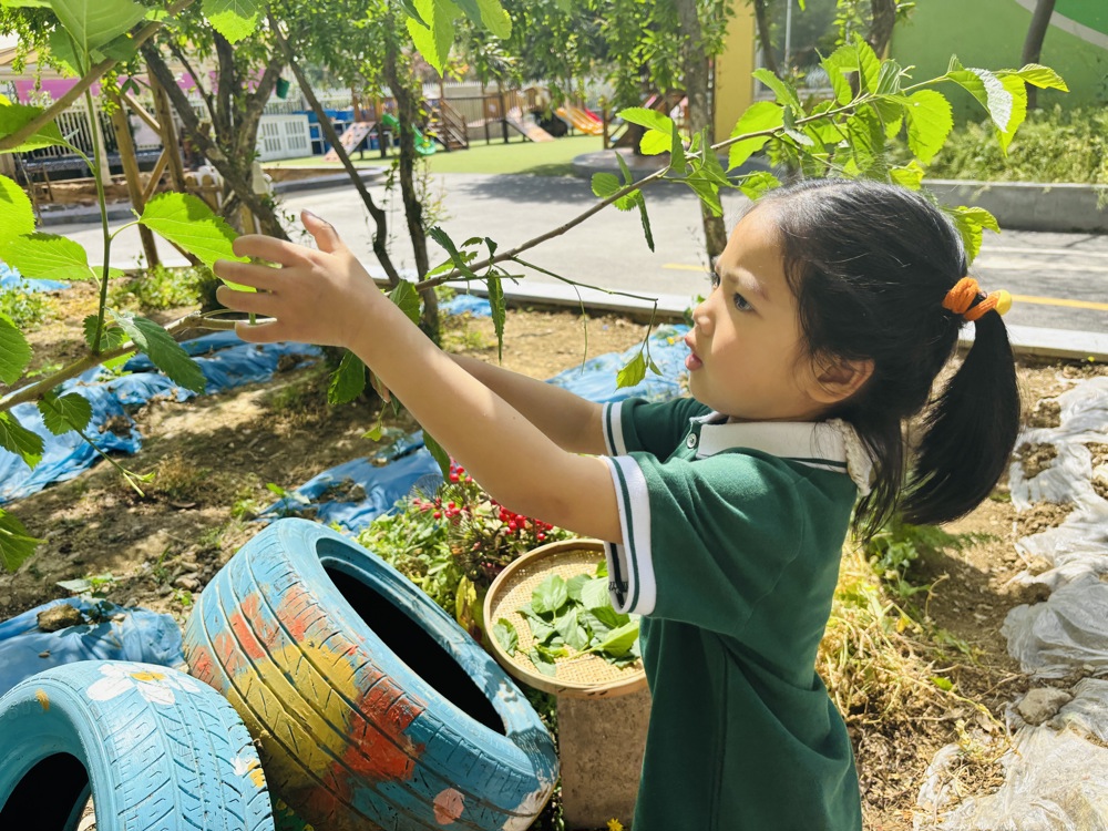 658f81f0bb5647949ef144414a80c793.jpg 658f81f0bb5647949ef144414a80c793.jpg