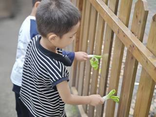 户外自主游戏：幸福农场