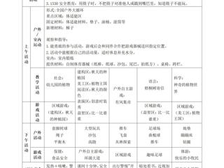 大一班第十周工作计划（2025.11.3-11.7）