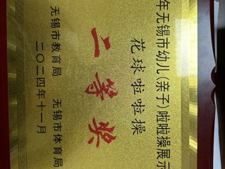 2024无锡市幼儿（亲子）啦啦操展示活动二等奖