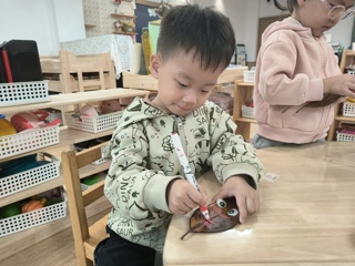 我和树叶做游戏