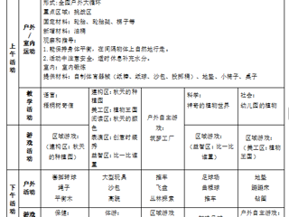大六班第十周工作计划（2025.11.03-2025.11.07）