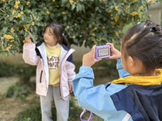 第十周：桂花下留影