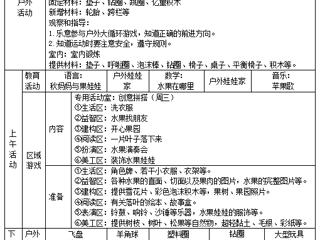 小三班第十一周工作计划