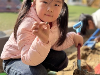 第十三周：沙宝