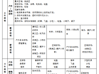 大六班第十三周周计划（2025.11.24-11.28）