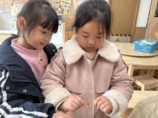 第十七周：绕绕甘蔗糖