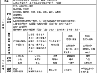 第十七周工作计划（2025.12.22-12.26）
