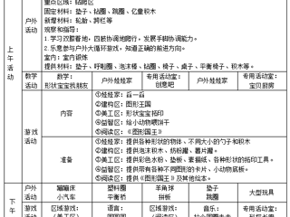 小三班第十三周工作计划