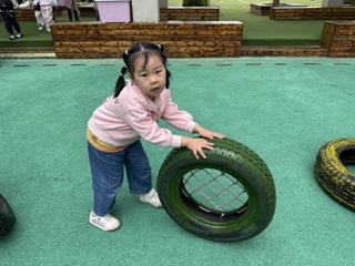 轮胎滚滚乐趣多