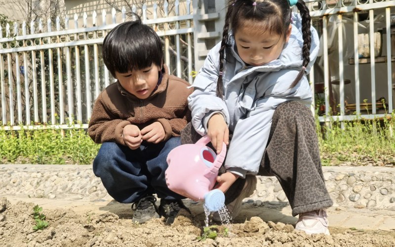 “绿”润童心 “种”启新光